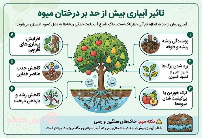 بهترین روش آبیاری درختان میوه